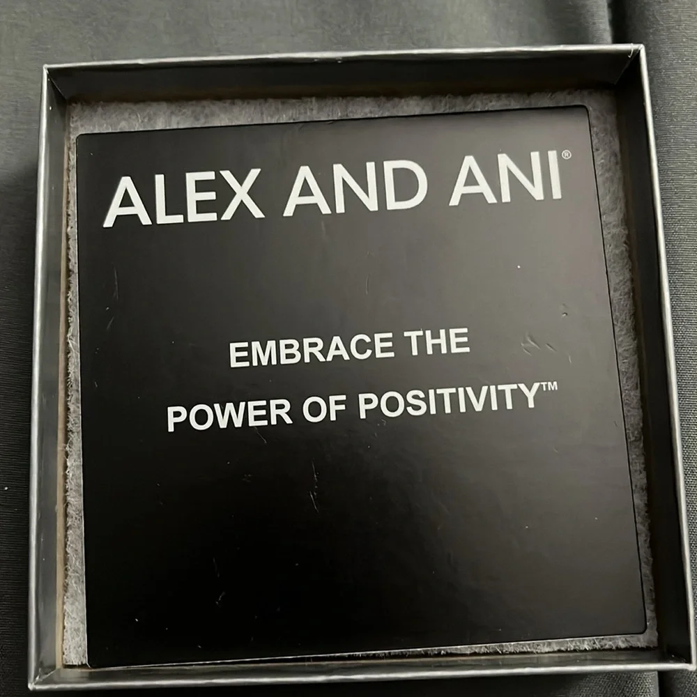 “Alex and Ani: N Initial Bracelet”